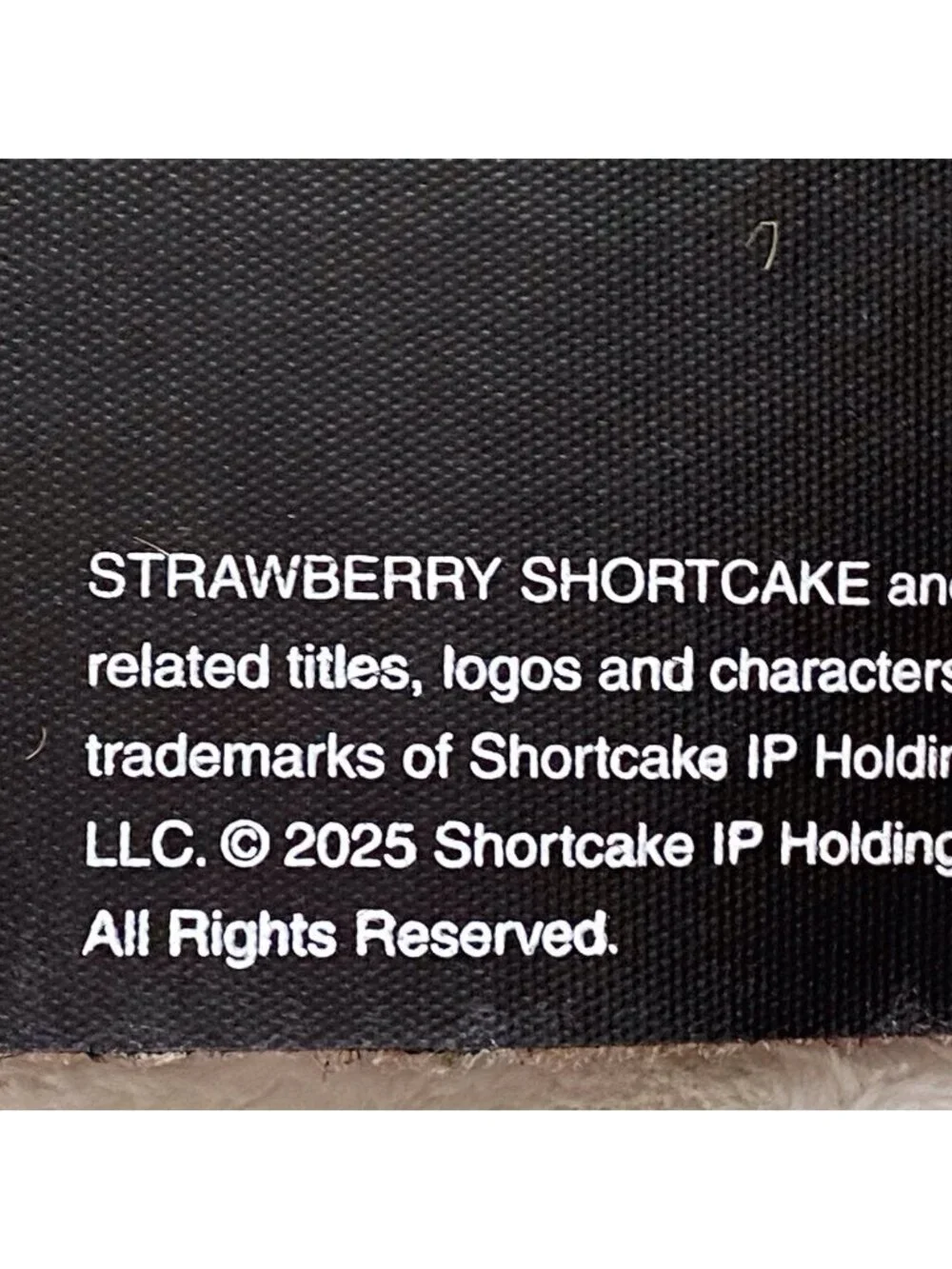 Strawberry Shortcake strawberry shortcake