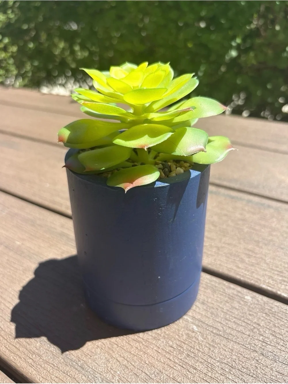 N/A vibrant lime