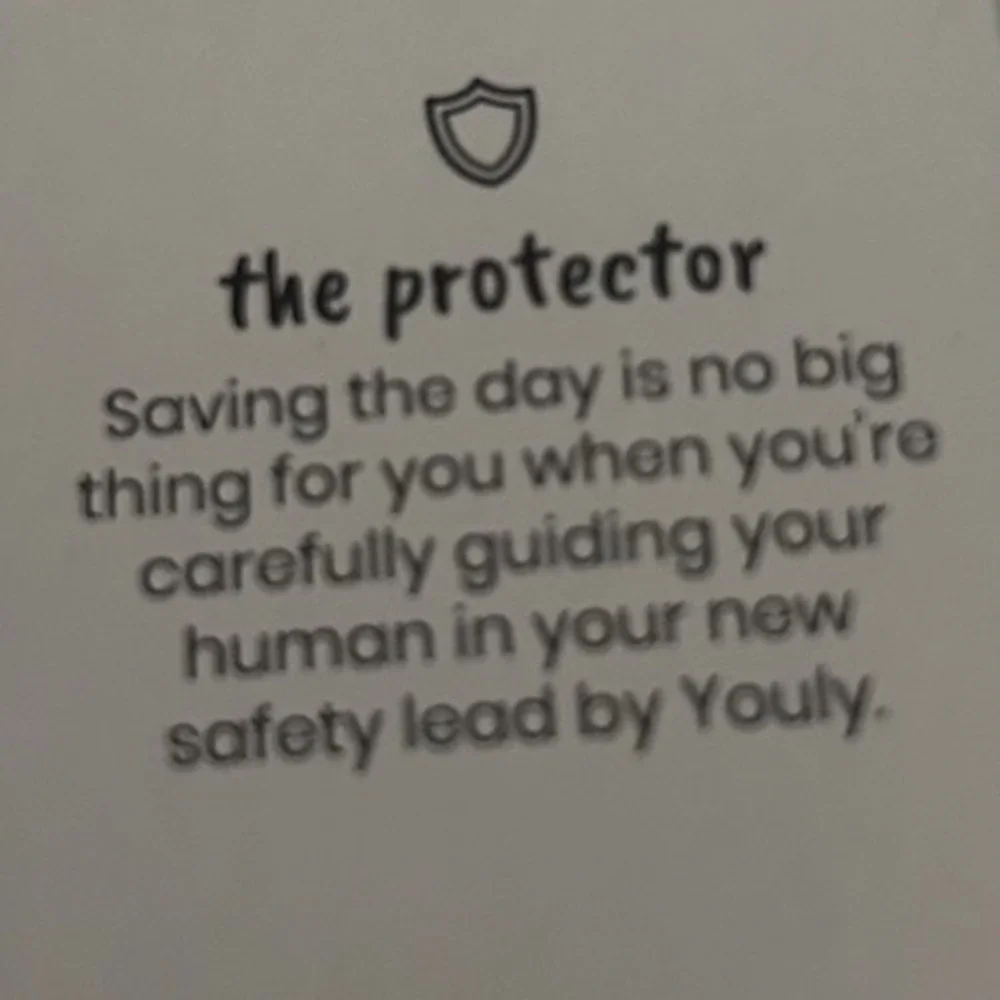 Youly new protector