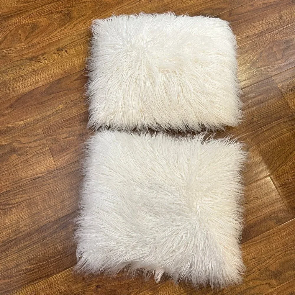 Pottery Barn white furry pillow set