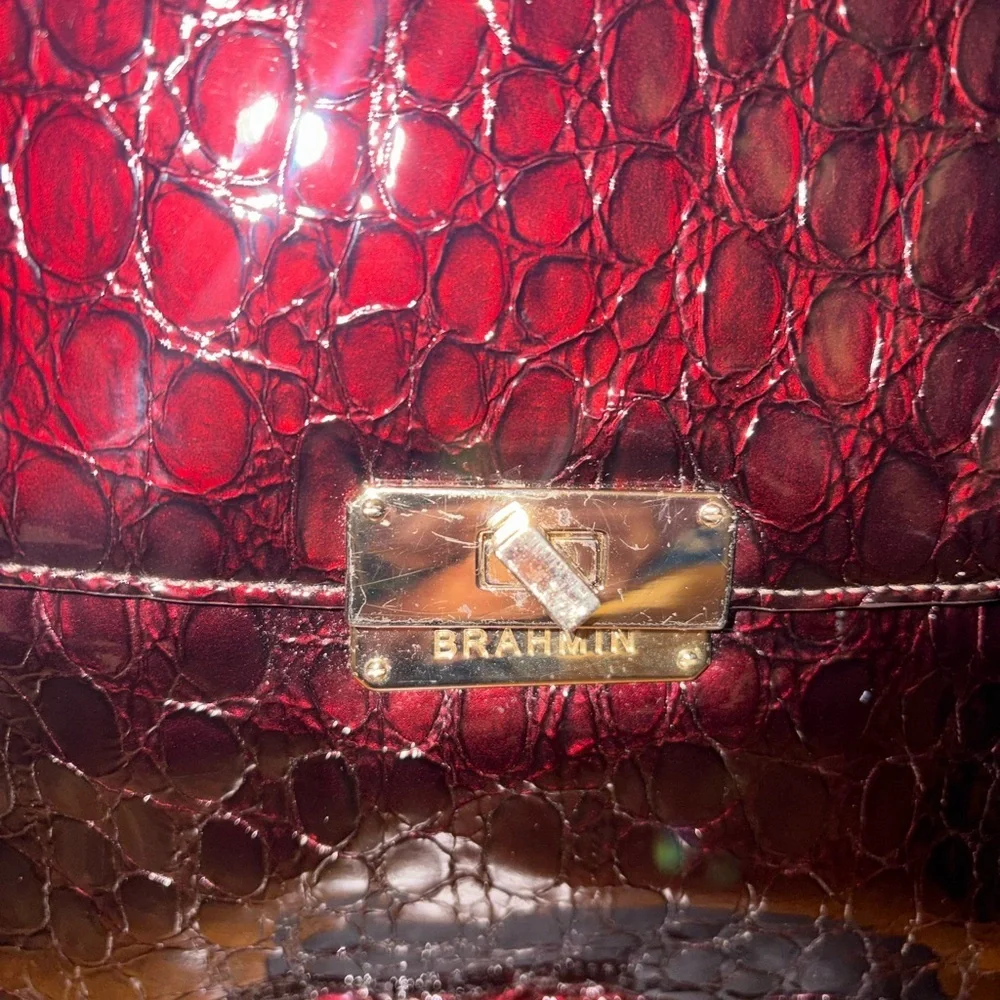 Brahmin this tillie