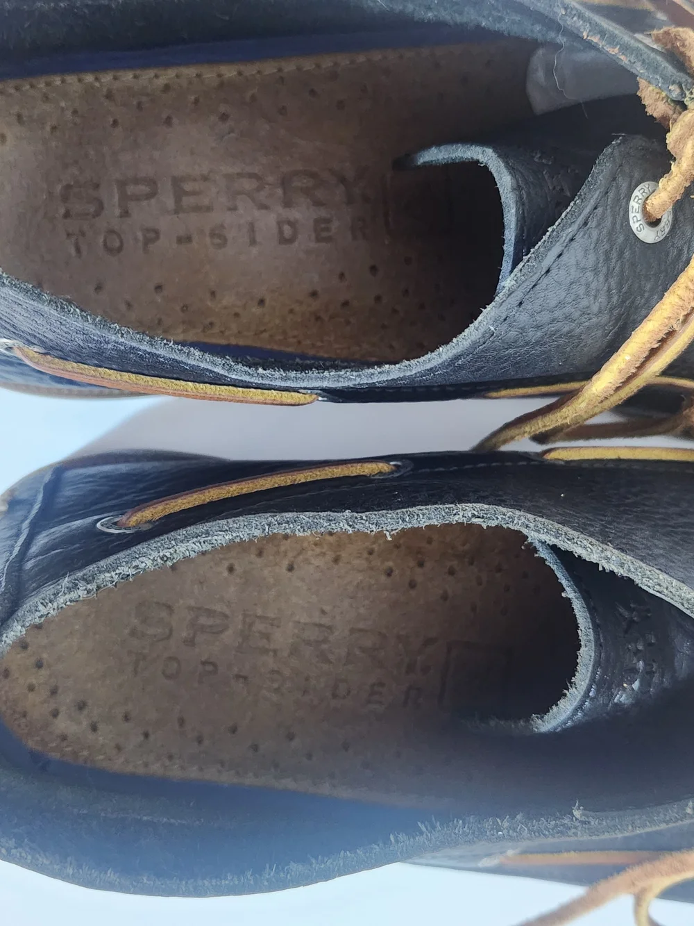 Sperry well great
