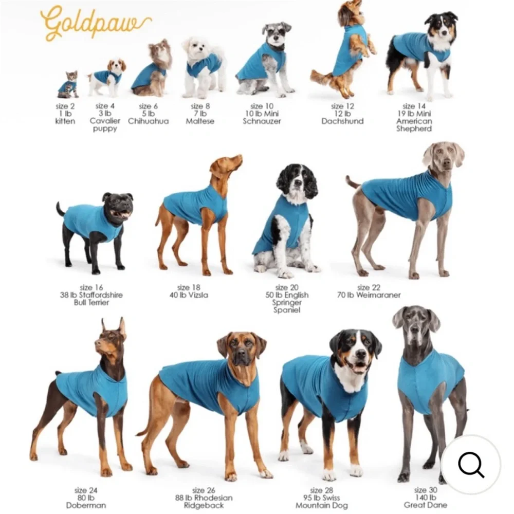 Goldpaw using washed euc