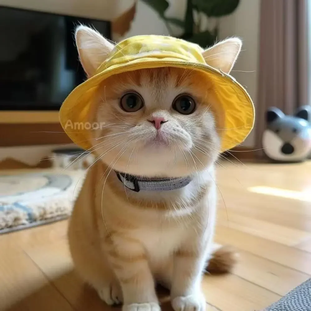 Unbranded this cat