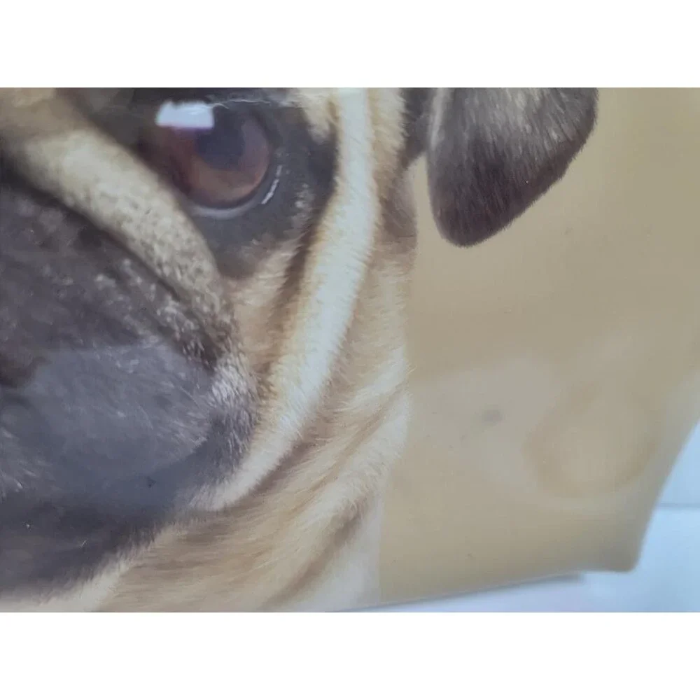 Catseye London Pug Dog Makeup Bag Beige Glossy Zipper Pouch Cosmetic Case