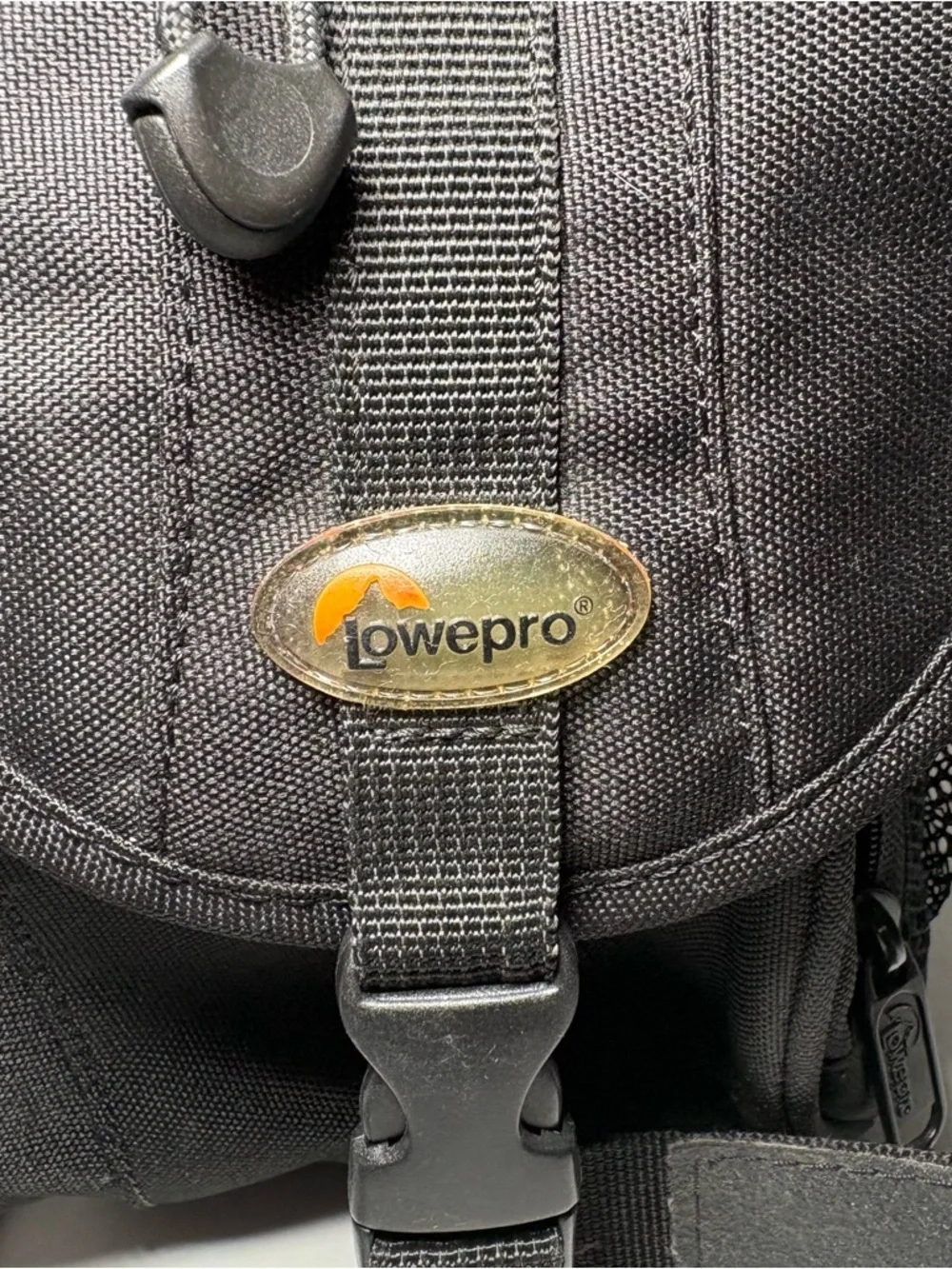 Lowepro bag carrying