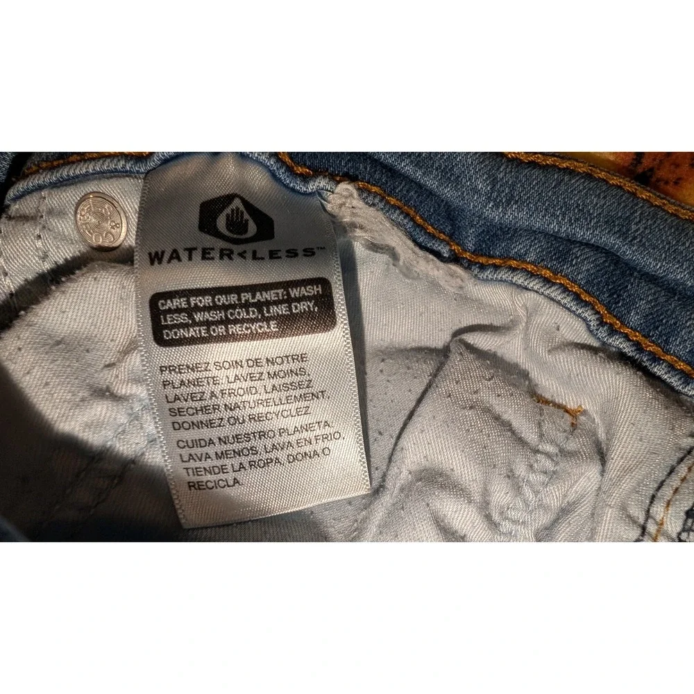 Levis levi 314