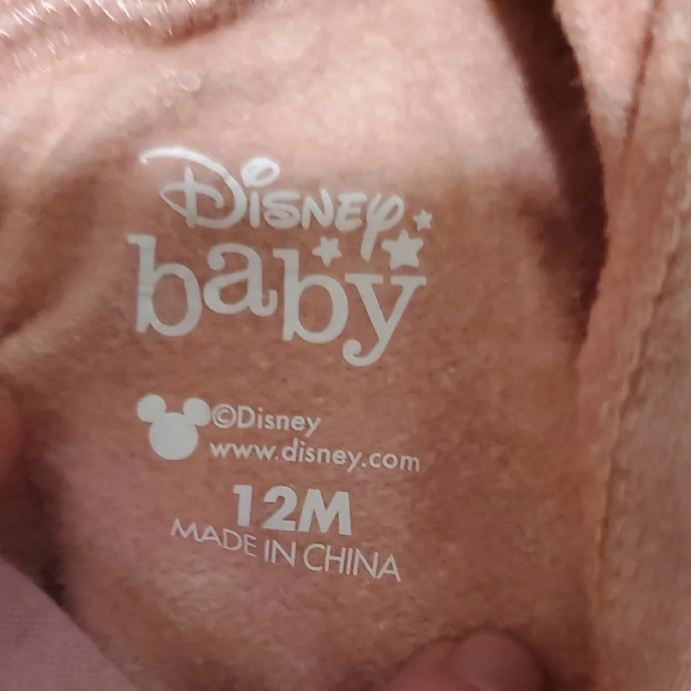 Disney features mouse front