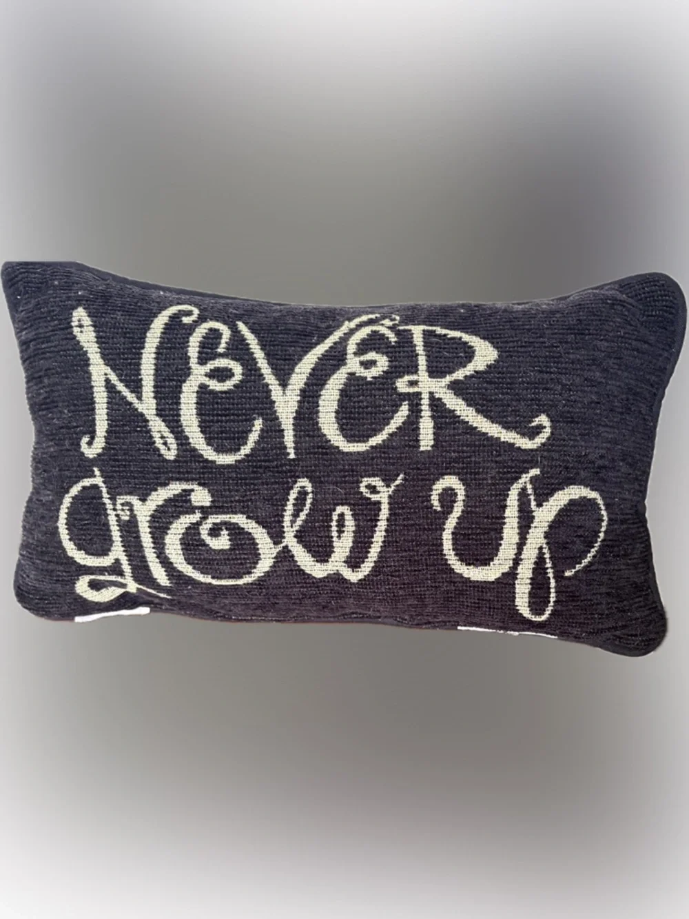 Disney Throw Pillow “ Never Grow Up”