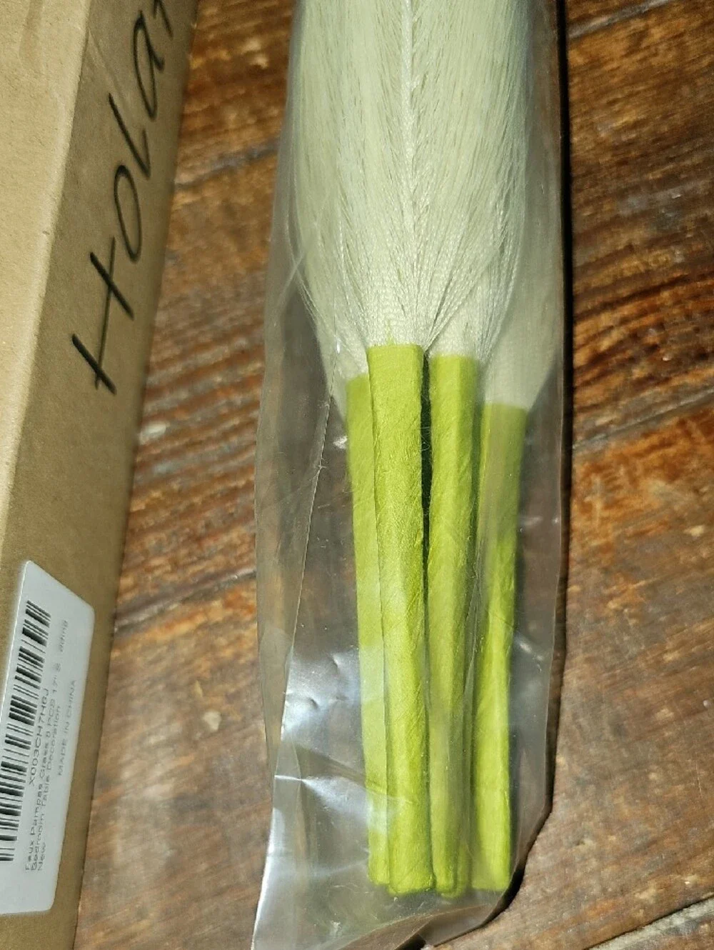 Dried Pampas Grass Stems - Natural Beige