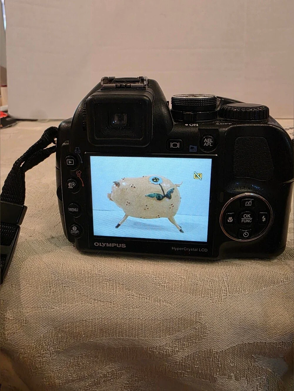 Olympus secure lens