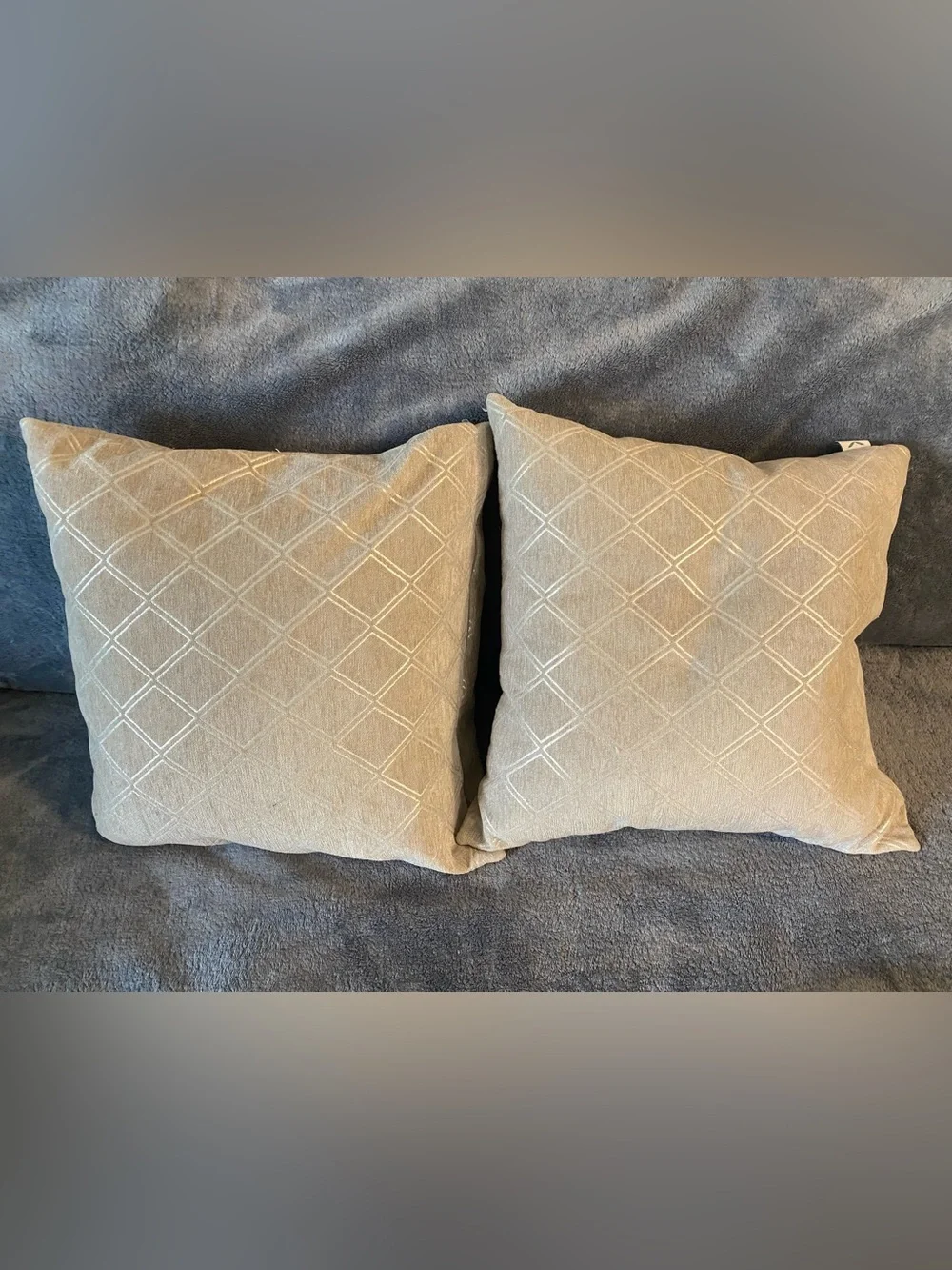 Gray with Silver-Pattern Throw Pillow Pair