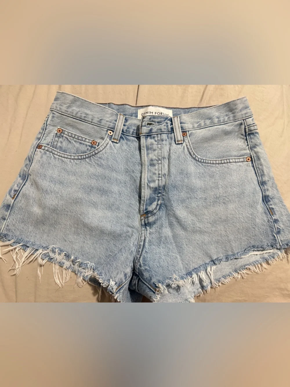 Denim Forum Aritzia denim shorts ex boyfriend/ high rise