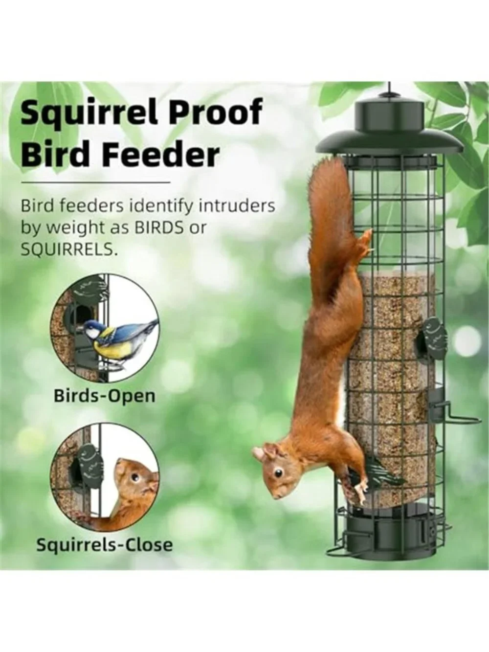 N/A 🧿squirrel proof