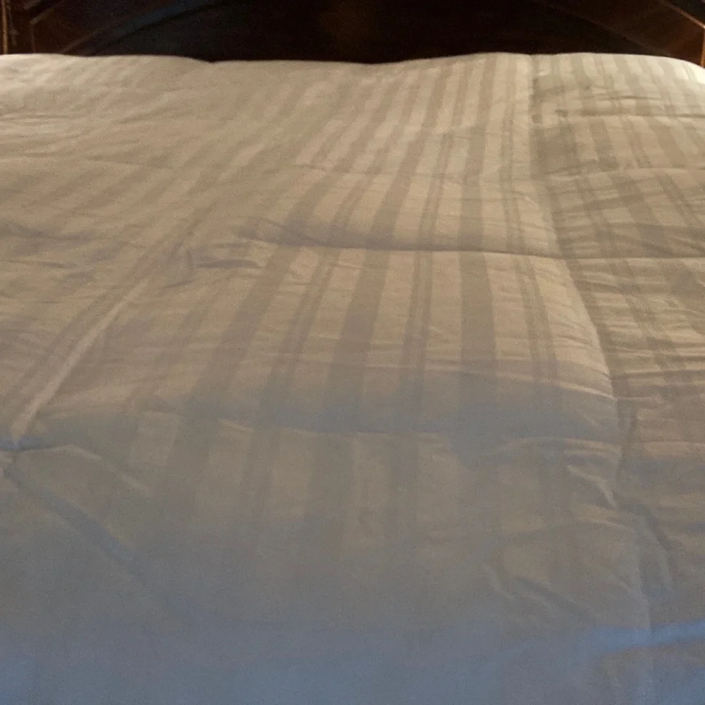N/A 100% cotton