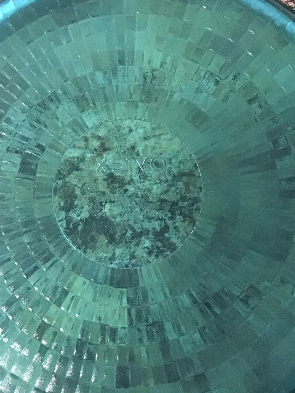 Pyrex carrying glass teal