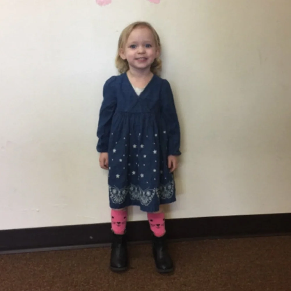 Old Navy butterfly denim Dress