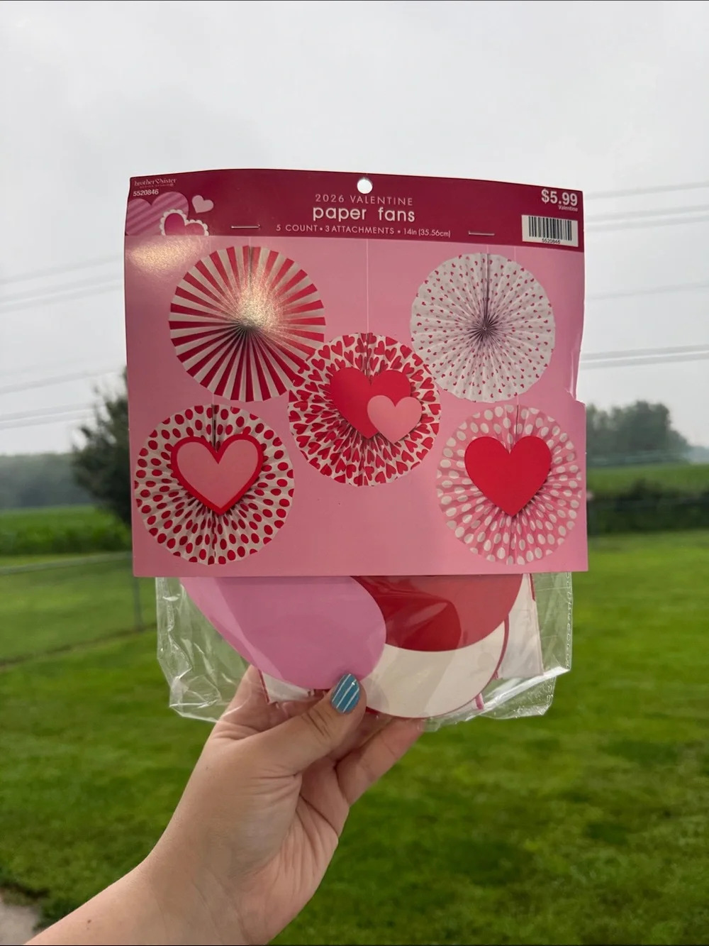 Valentine Paper Fans Pink & Red Decorative Party Fans