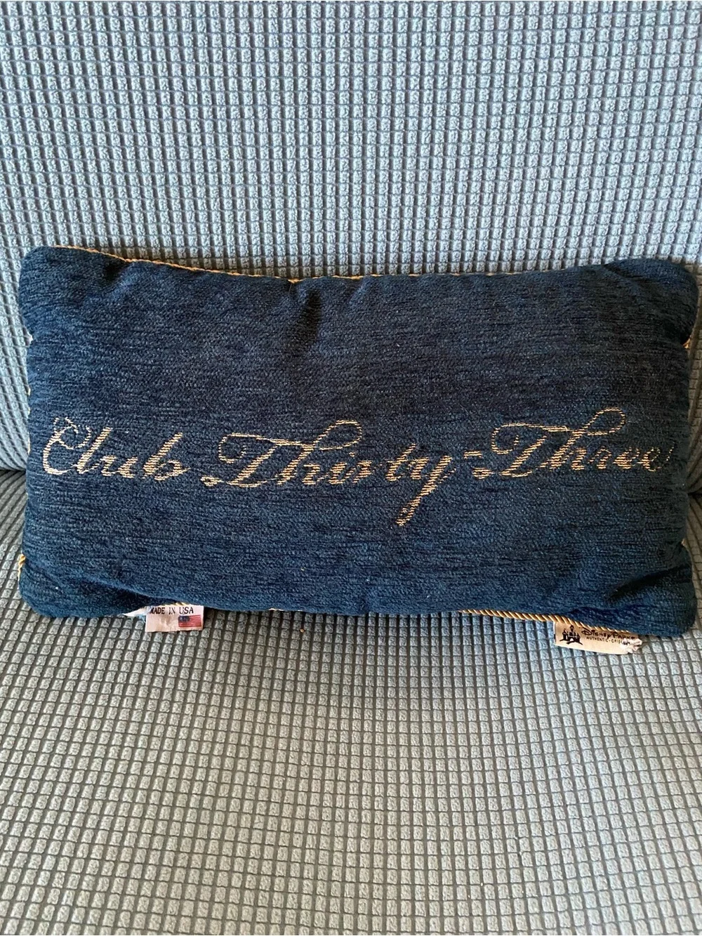 Disney club 33