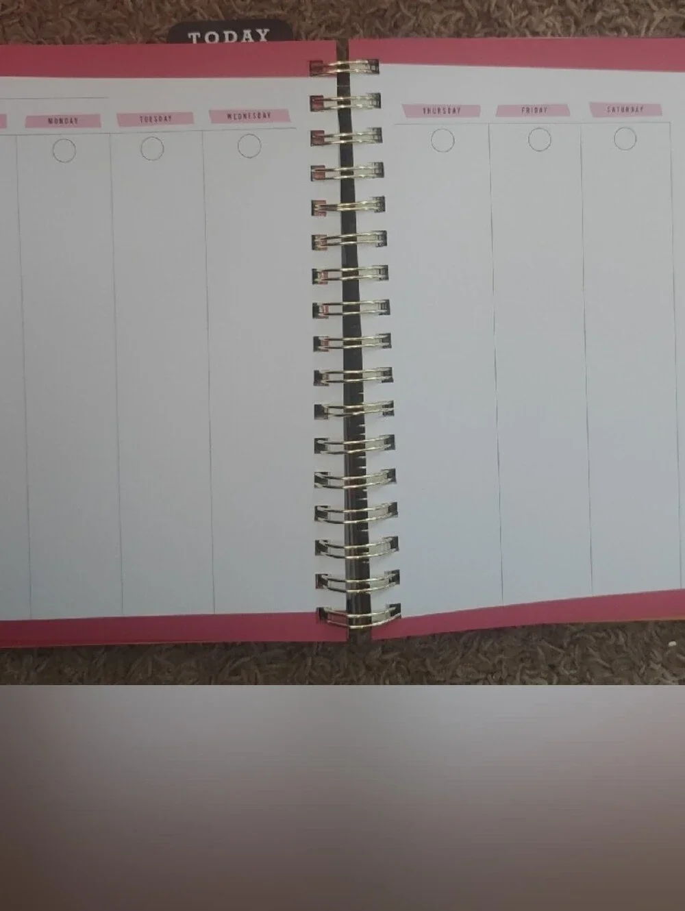 Tabitha Brown spiral bound