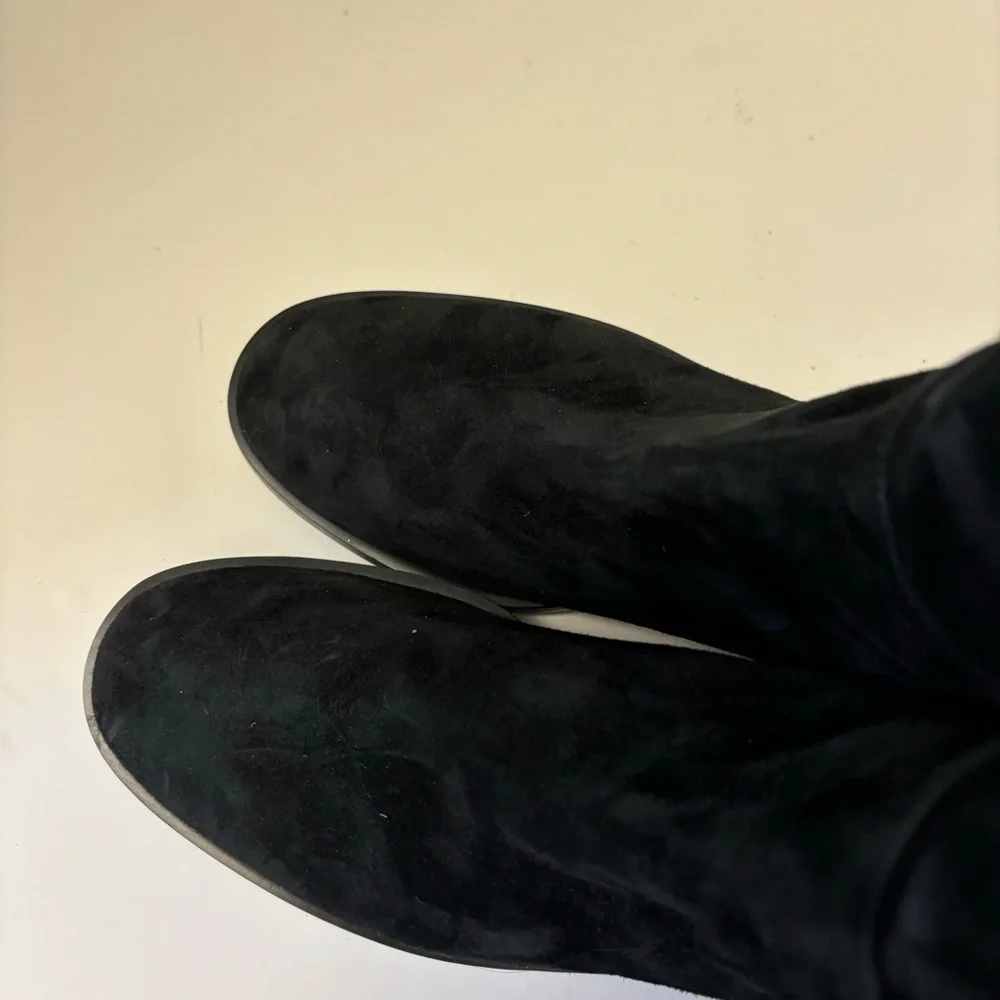 Stuart Weitzman suede never