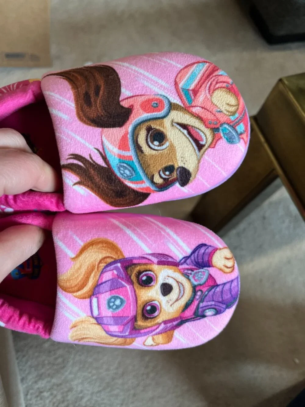 Paw Patrol girls paw