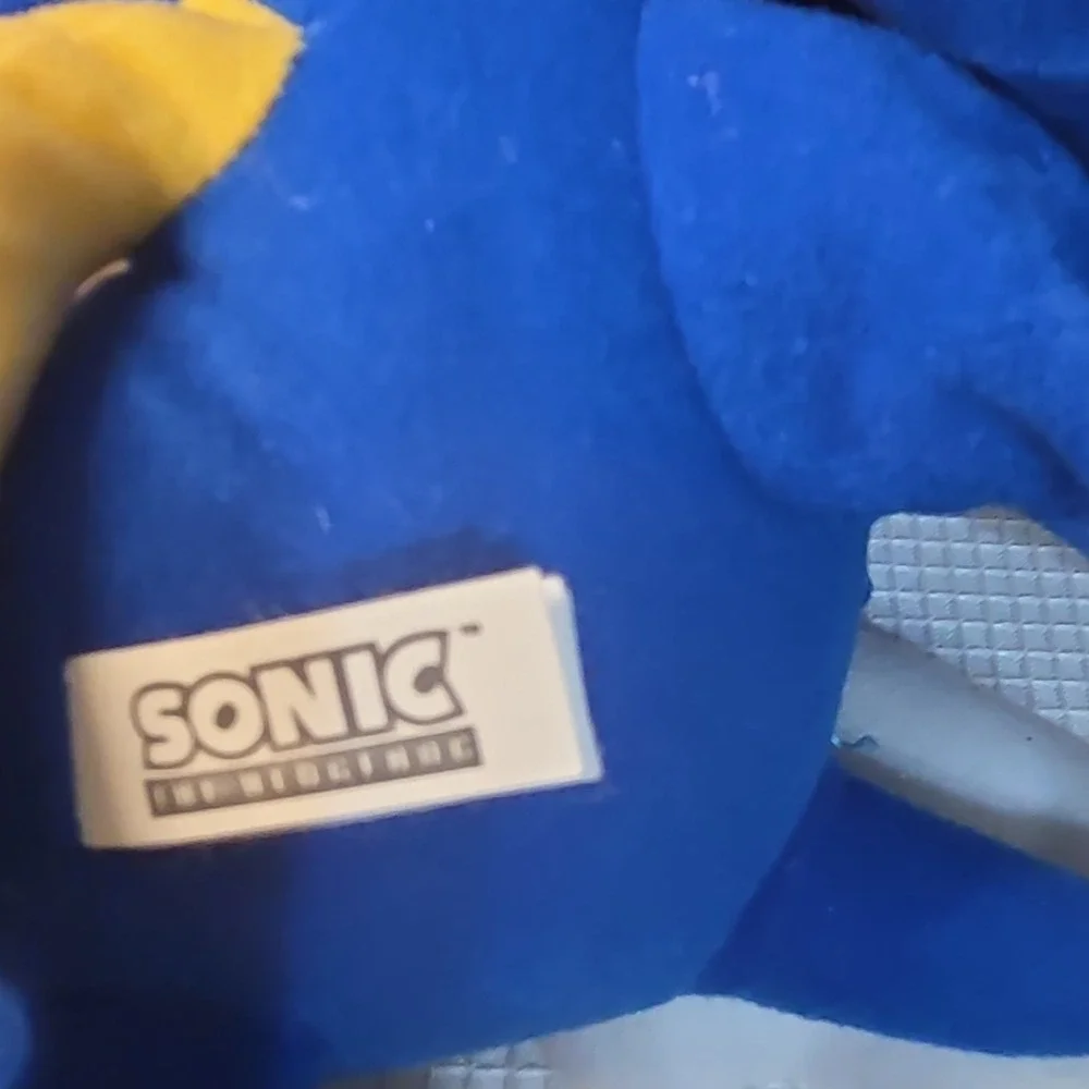 Sonic The Hedgehog sonic hedgehog