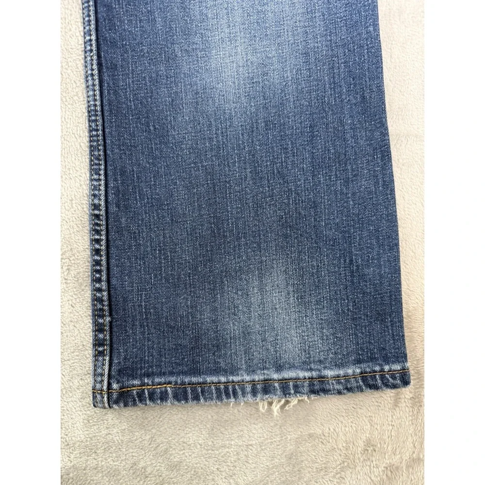 Levis levis 527