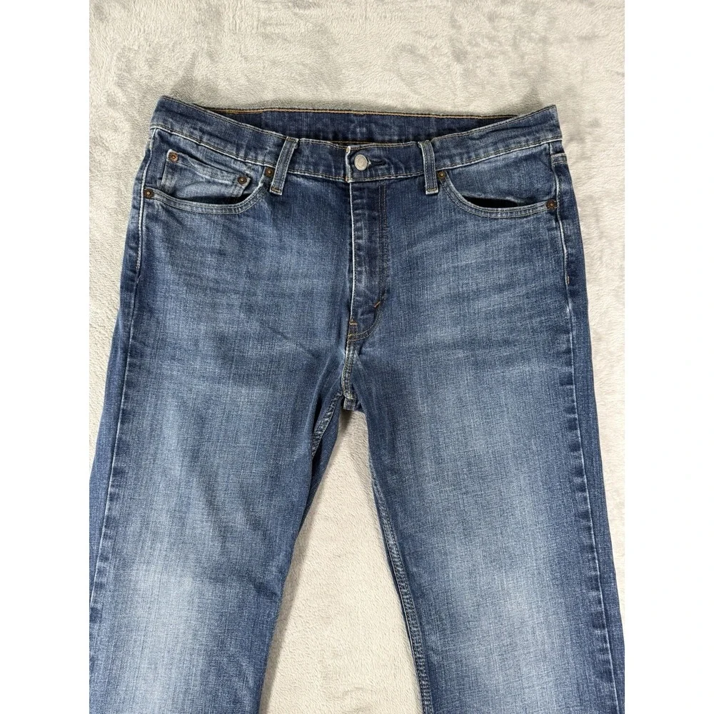 Levis levis 527