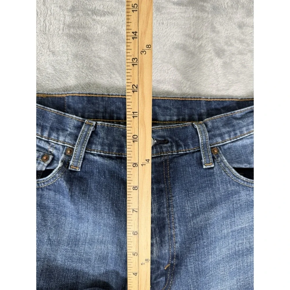 Levis levis 527