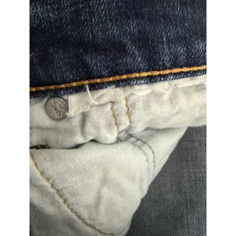 Levis levis 527