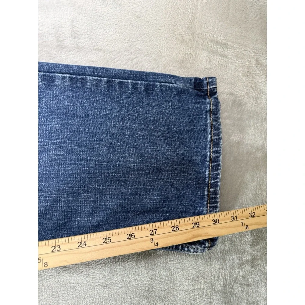 Levis levis 527