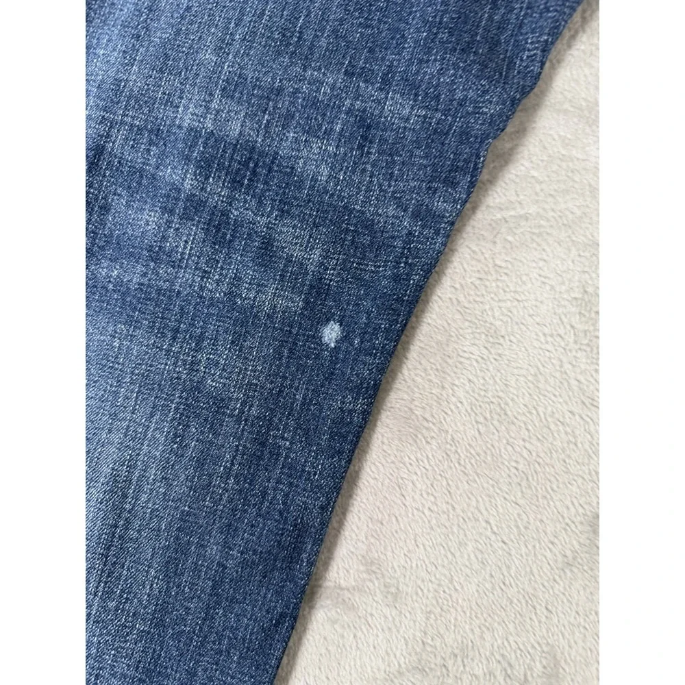 Levis levis 527