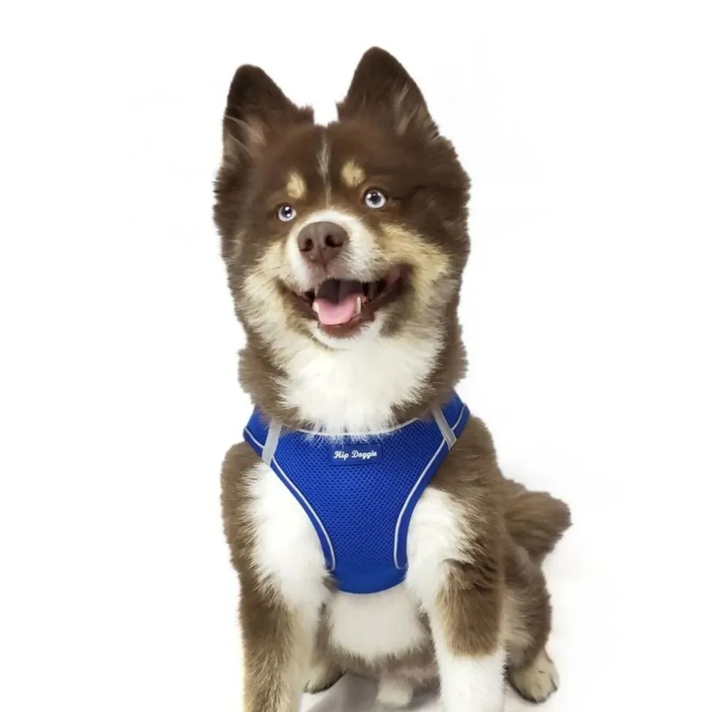 Hip Doggie hip doggie