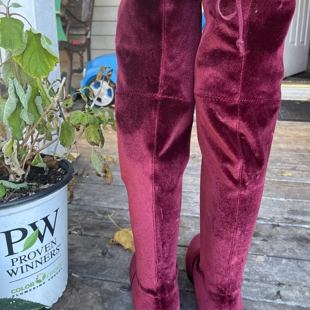 Unisa velvet knee