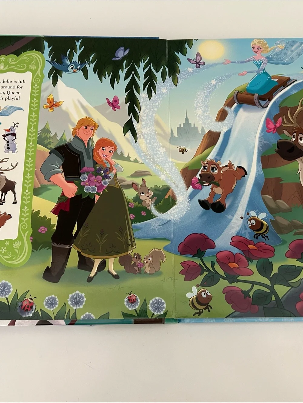 Disney Princess Magic & Frozen Look and Find Books