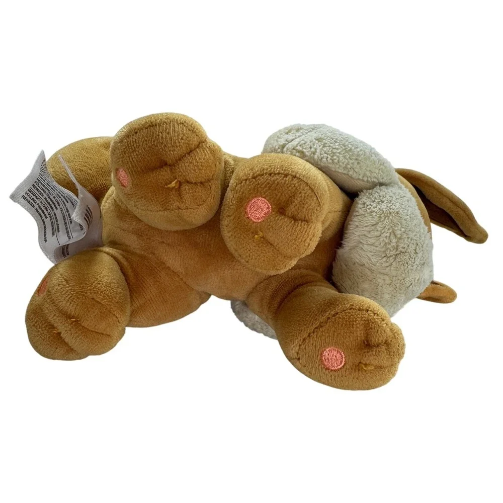 Pokémon authentic eevee
