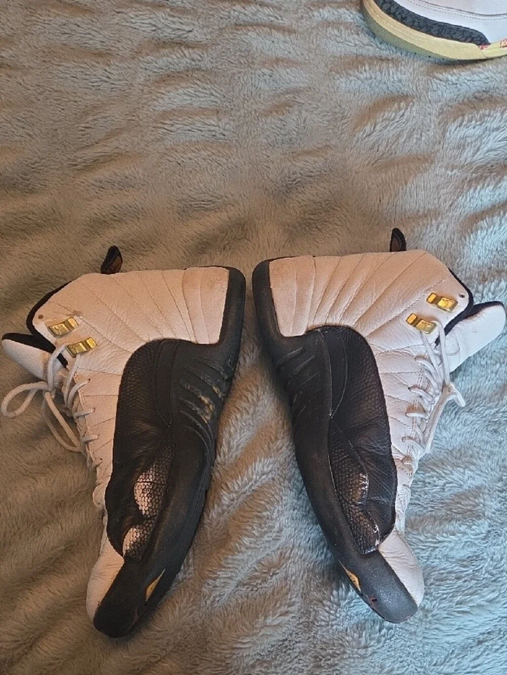 Jordan air 12