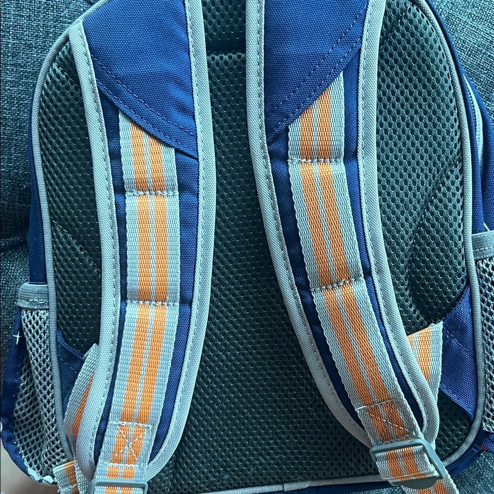 Pottery Barn Kids cute blue