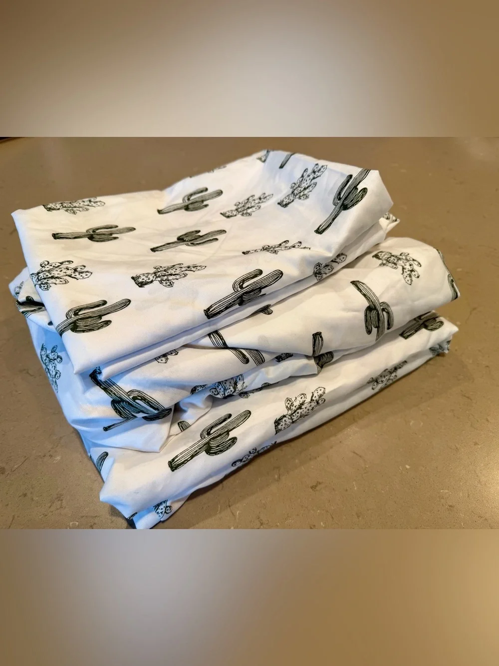 NWOT Wrangler Queen Sheet Set Cactus Print Southwest Desert OEKO-TEX Saguaro