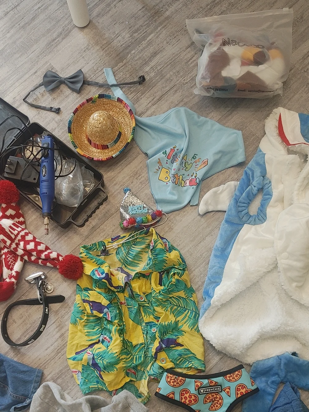 HUGE FRENCHIE LOT L/XL French Bulldog Clothes & Accessories