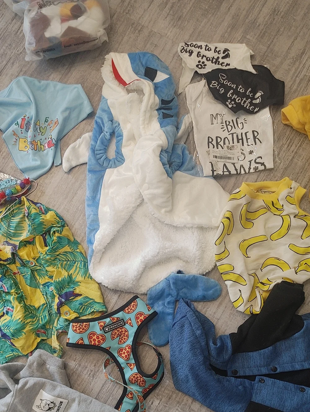 HUGE FRENCHIE LOT L/XL French Bulldog Clothes & Accessories
