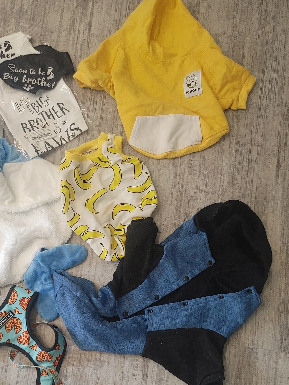 HUGE FRENCHIE LOT L/XL French Bulldog Clothes & Accessories