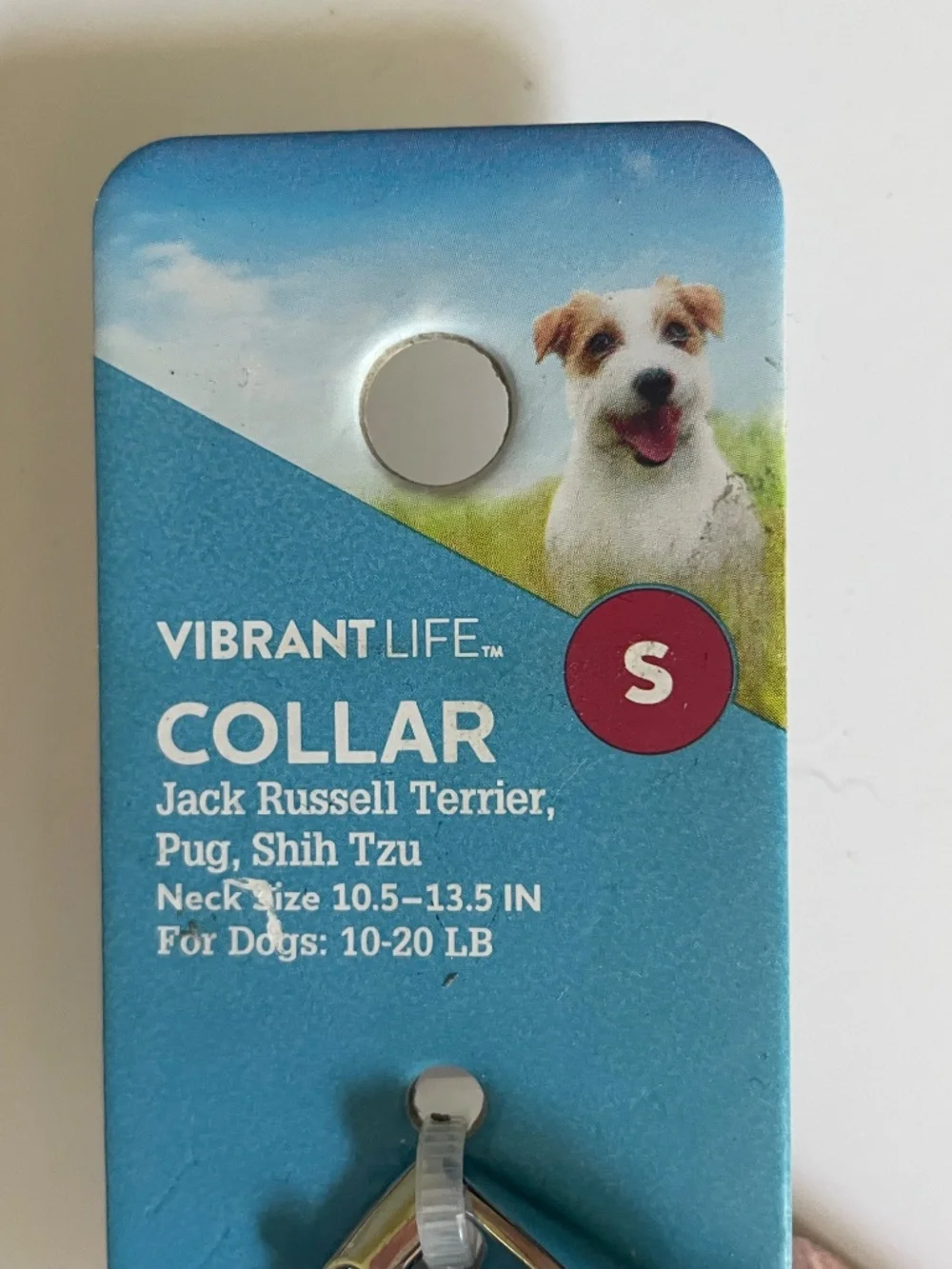 Vibrant Life 10 13