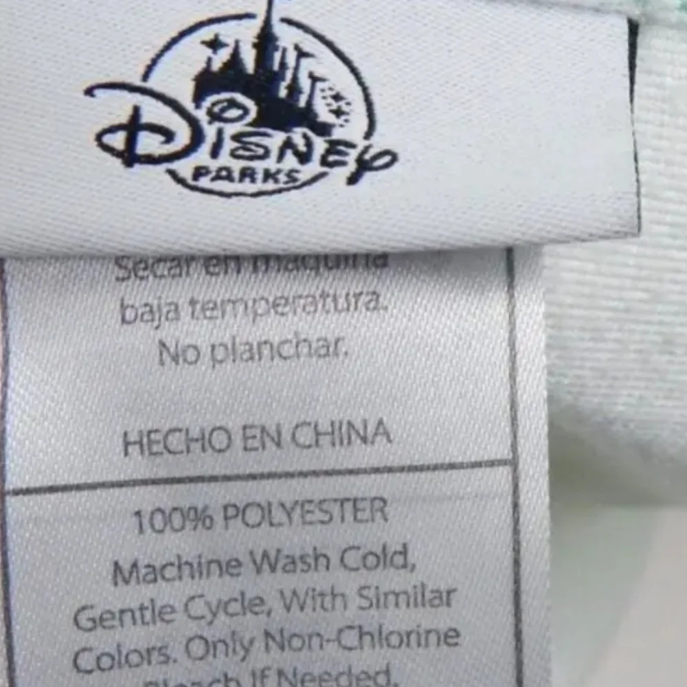 Disney brand parks