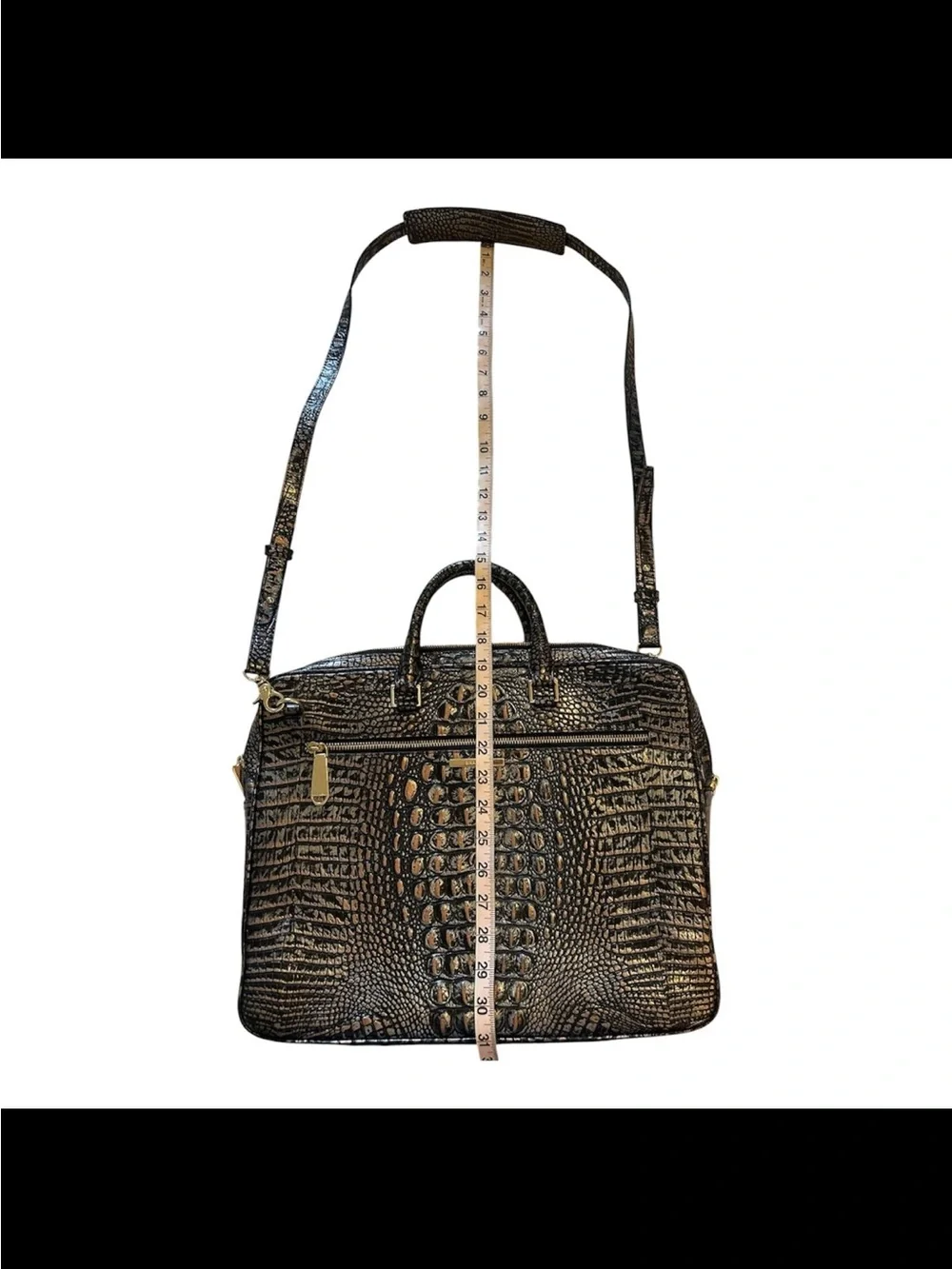 Brahmin beautiful croc