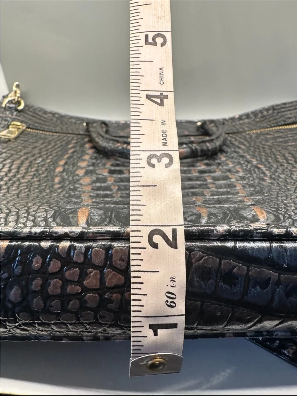 Brahmin beautiful croc