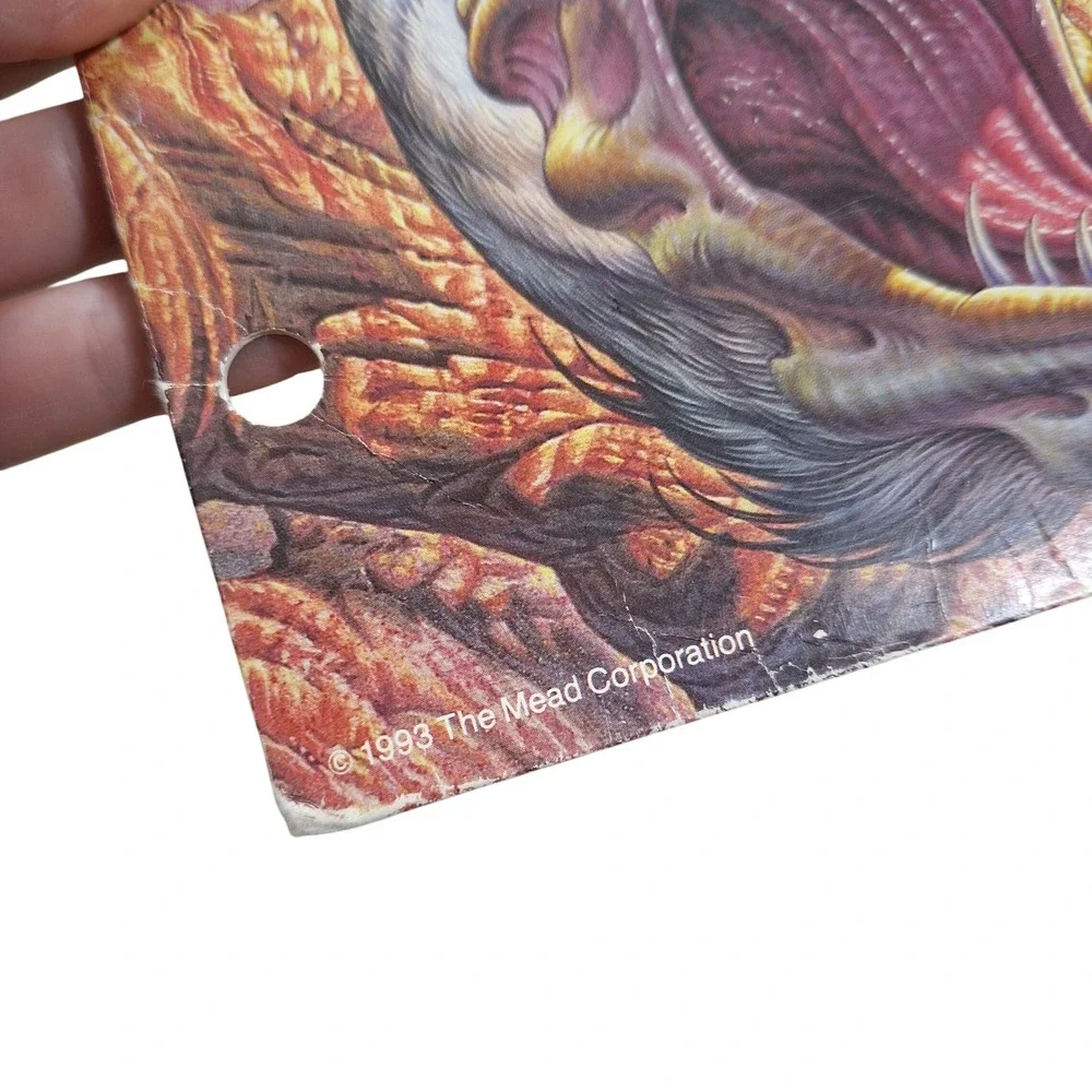Vintage 90s Mead No Rules Xtreme Pocket Folder Lot Trapper Folio