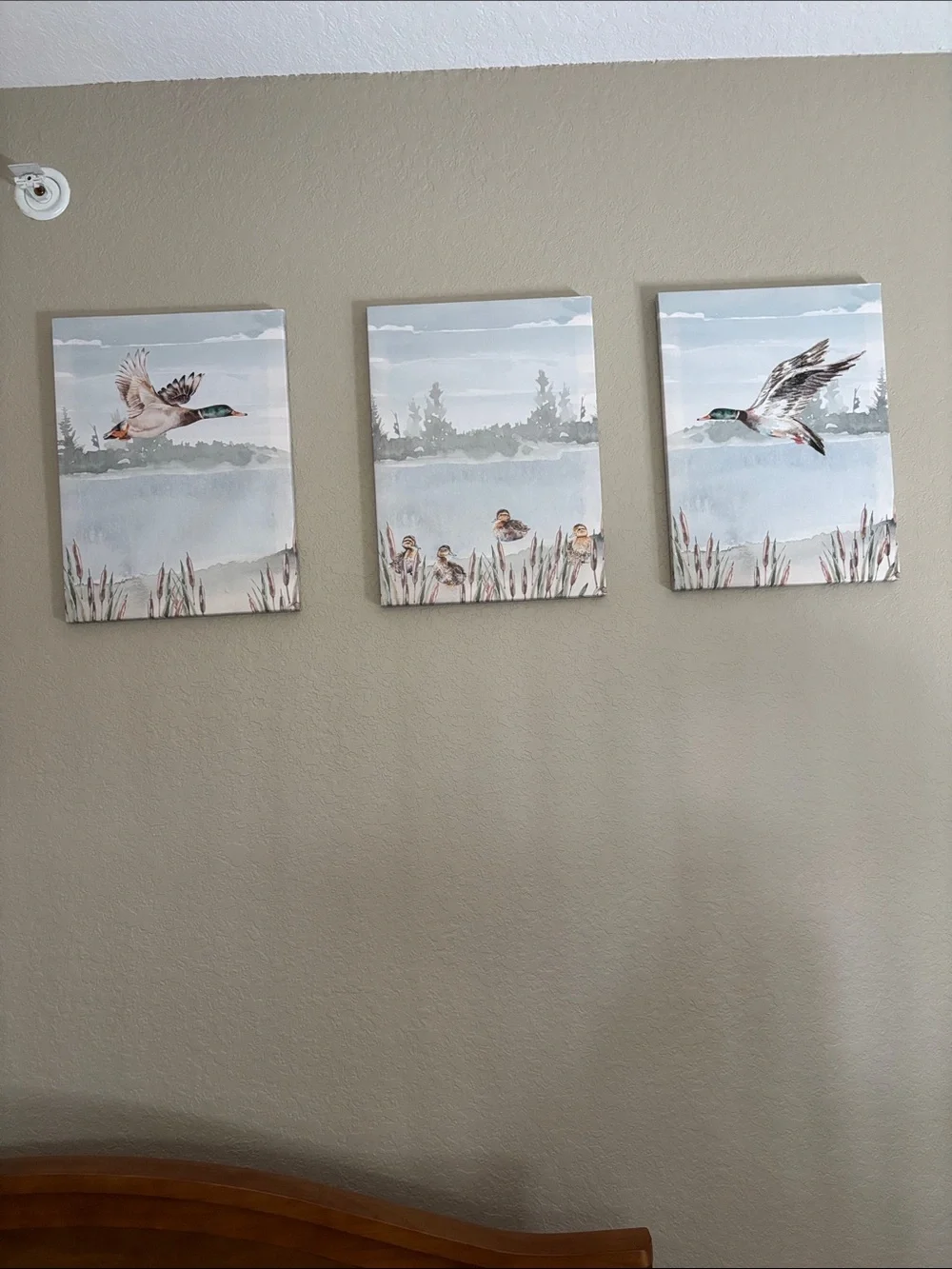 Mallard Canvas Wall Art