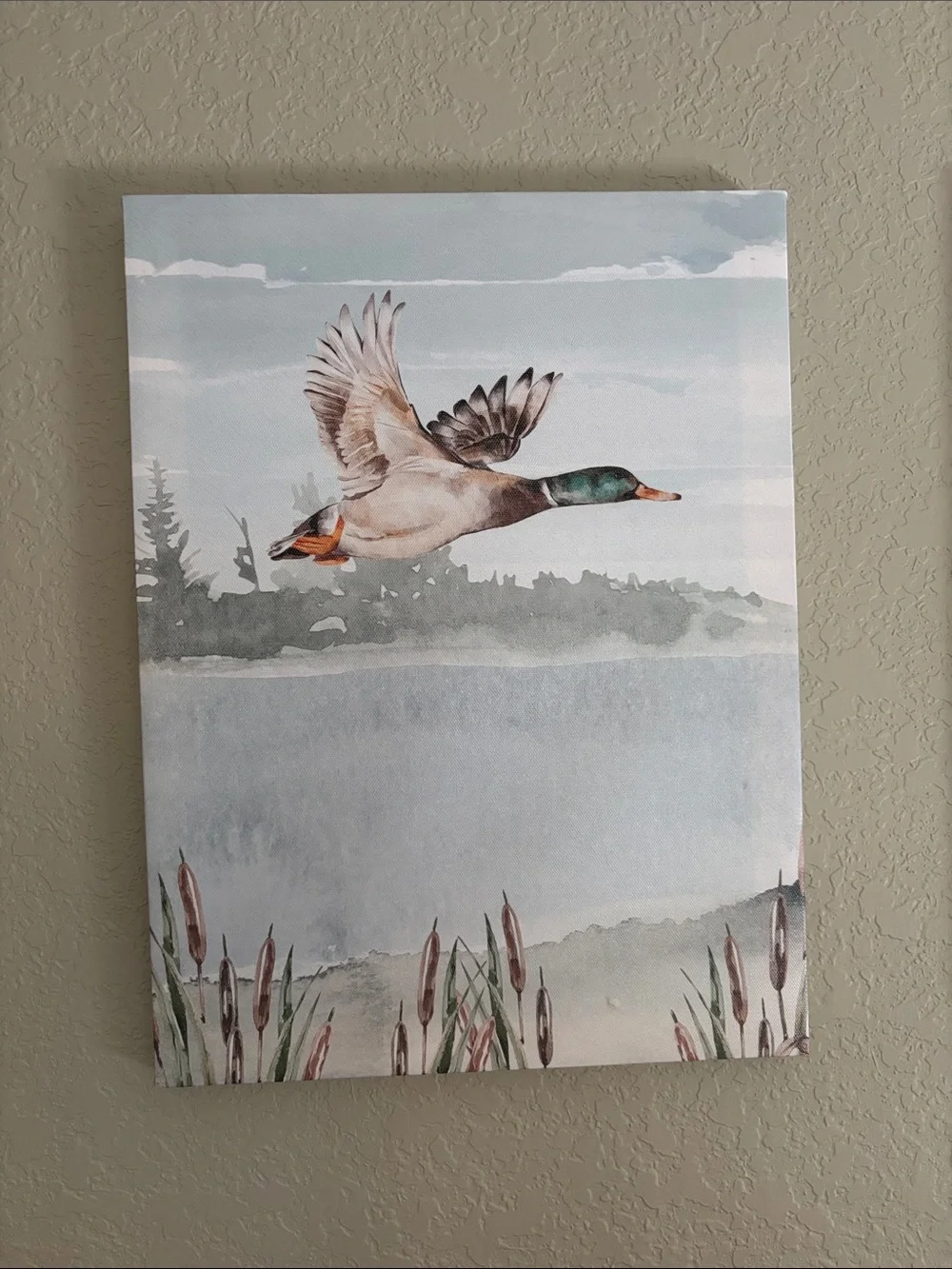 Mallard Canvas Wall Art